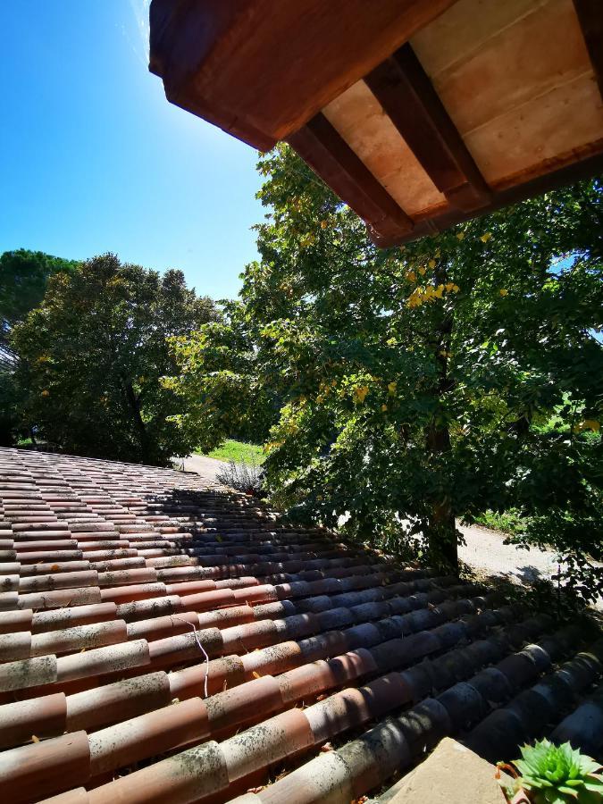 卡纳拉La Casa Dei Tigli住宿加早餐旅馆 外观 照片