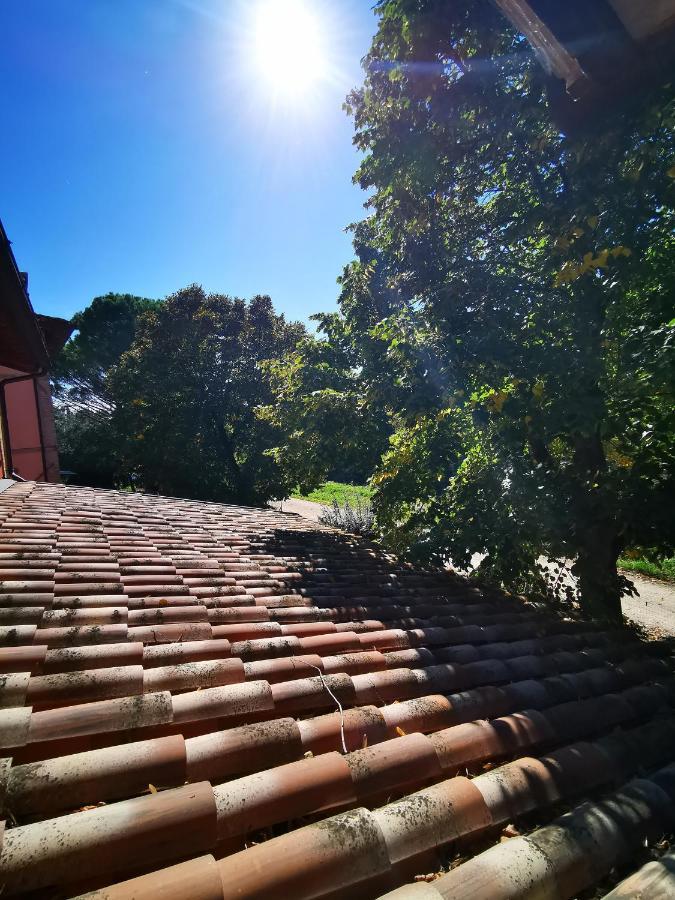 卡纳拉La Casa Dei Tigli住宿加早餐旅馆 外观 照片