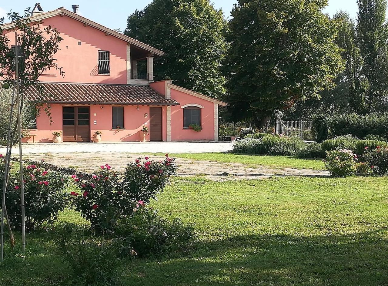卡纳拉La Casa Dei Tigli住宿加早餐旅馆 外观 照片